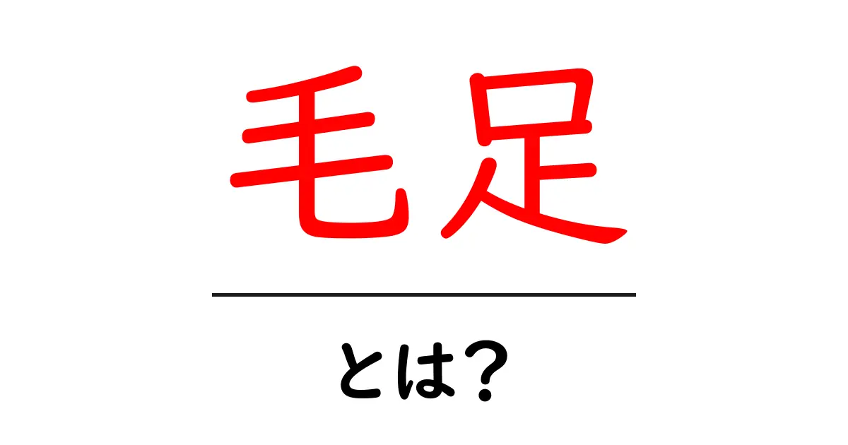 毛足とは？毛足の意味や使い方を詳しく解説！共起語・同意語も併せて解説！