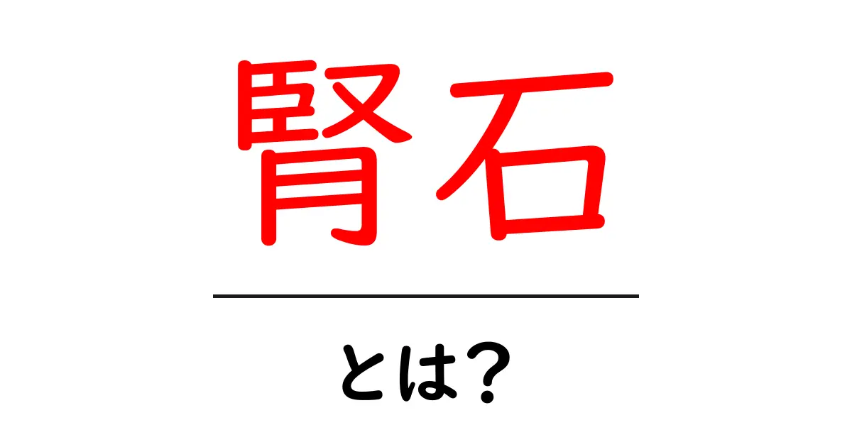 腎石とは?その原因と予防法を解説!共起語・同意語も併せて解説!