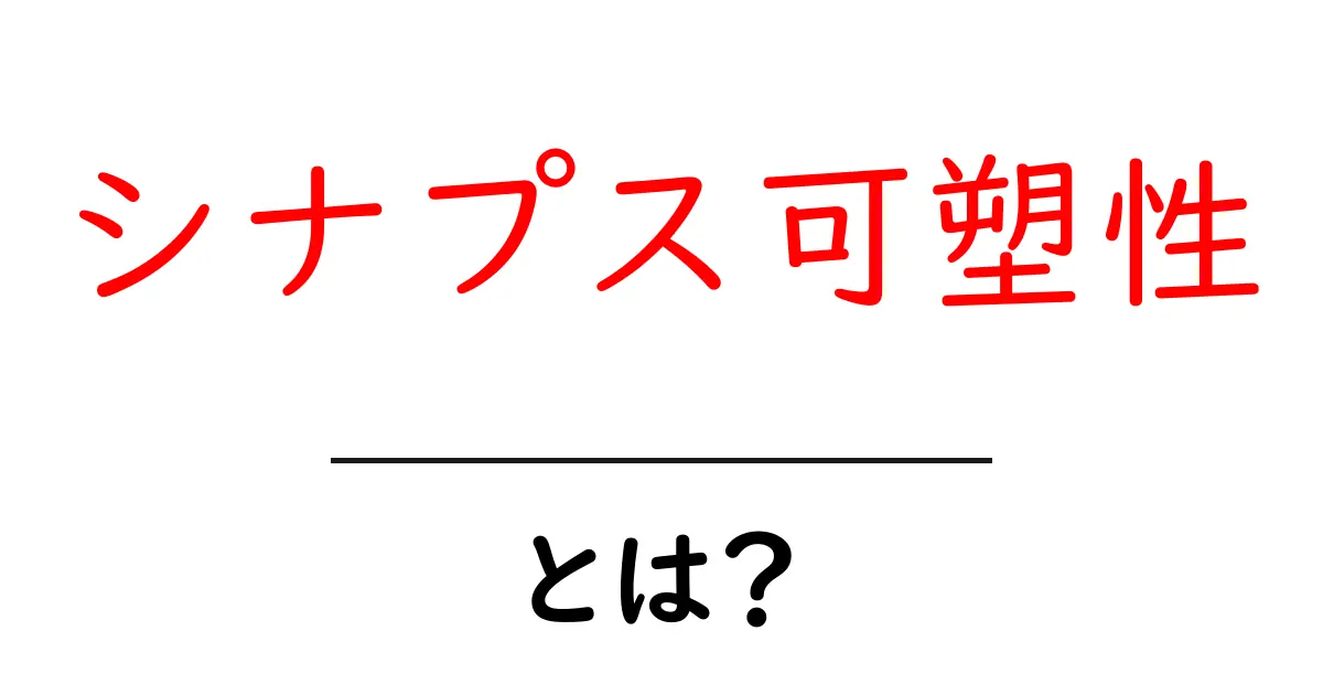 シナプス可塑性とは?脳の仕組みをわかりやすく解説!共起語・同意語も併せて解説!