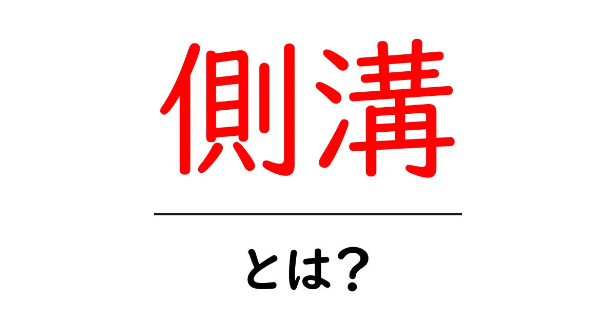 側溝とは?その役割や種類を分かりやすく解説!共起語・同意語も併せて解説!