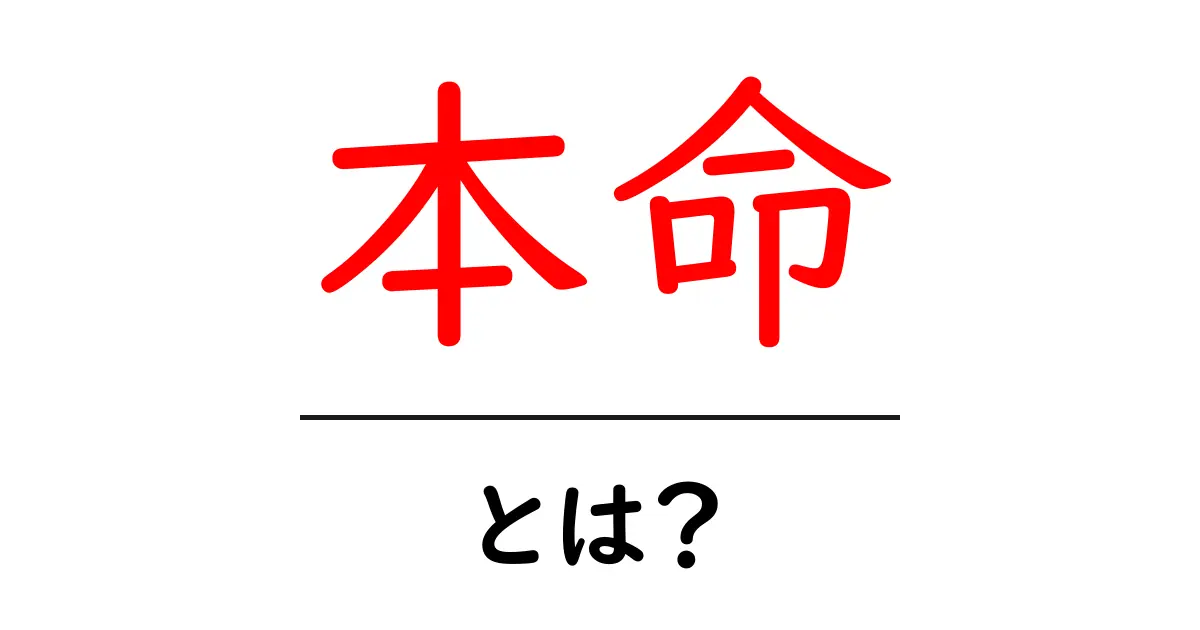 「本命」とは?意味や使い方、さまざまな場面での活用法を解説!共起語・同意語も併せて解説!