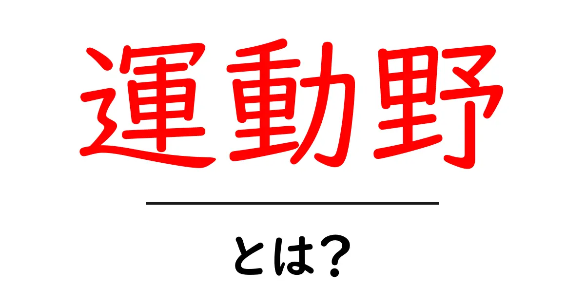 運動野とは?脳の運動を司る場所を分かりやすく解説!共起語・同意語も併せて解説!