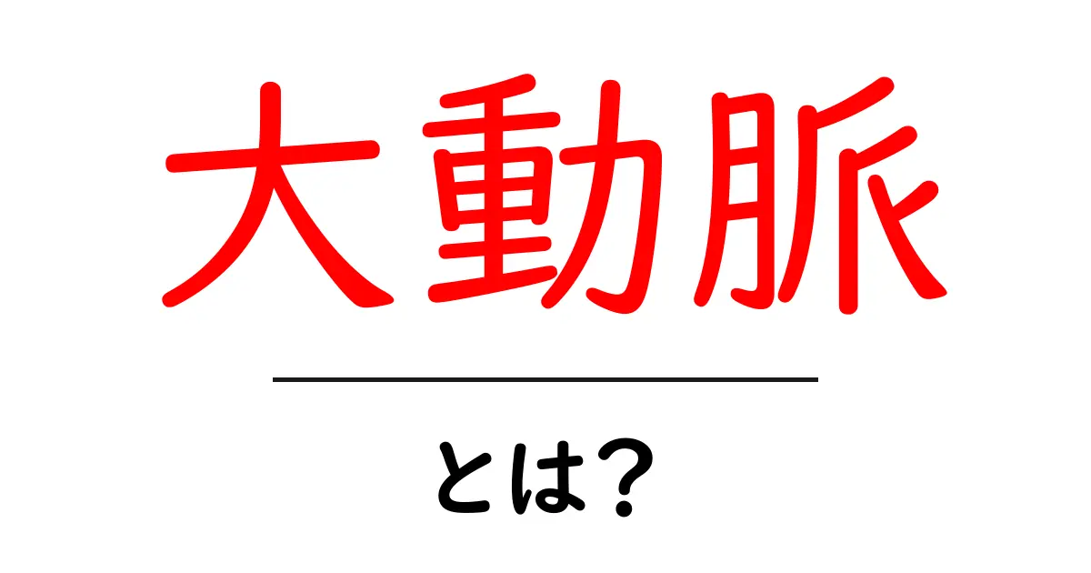 大動脈とは?心臓から全身へ血液を運ぶ大動脈の役割を知ろう!共起語・同意語も併せて解説!