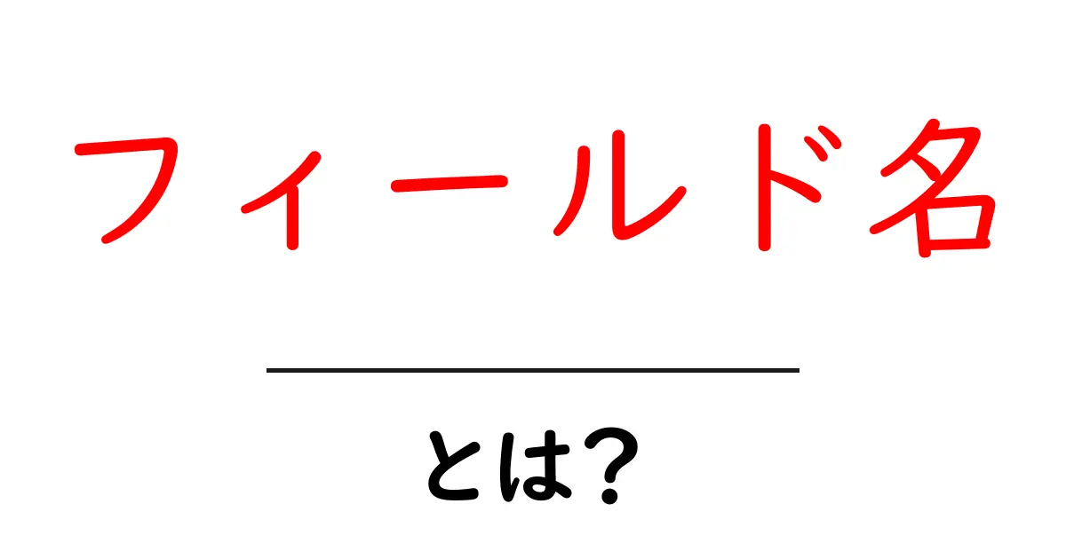 フィールド名とは?意味や使い方をわかりやすく解説!共起語・同意語も併せて解説!
