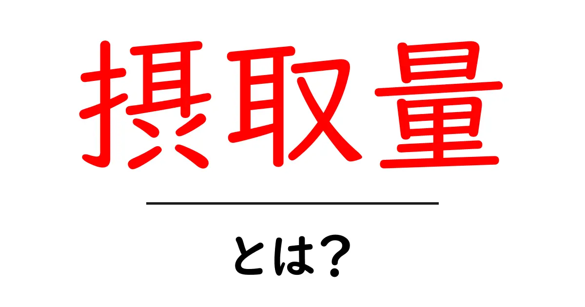 摂取量とは?健康的な生活のための適切な食事管理共起語・同意語も併せて解説!