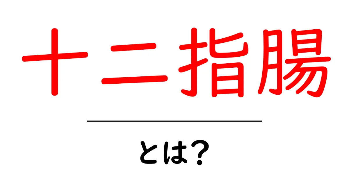 十二指腸とは?消化に欠かせない部分を詳しく解説!共起語・同意語も併せて解説!