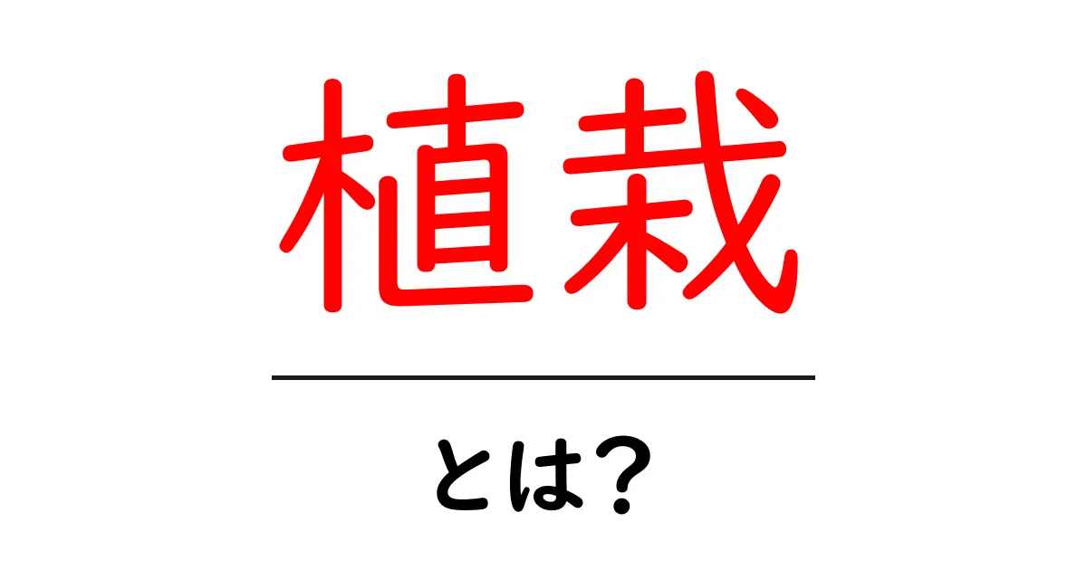 植栽とは?美しい景観を作るための植え方ガイド共起語・同意語も併せて解説!
