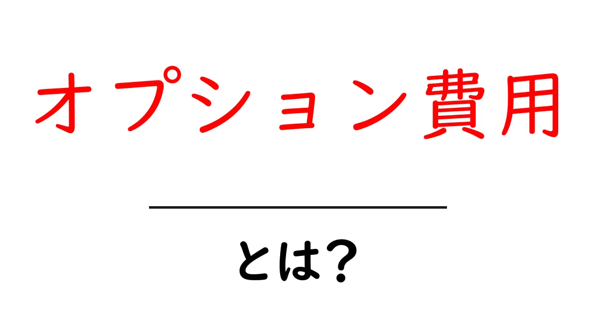 オプション費用とは?知っておきたい基本とその重要性共起語・同意語も併せて解説!