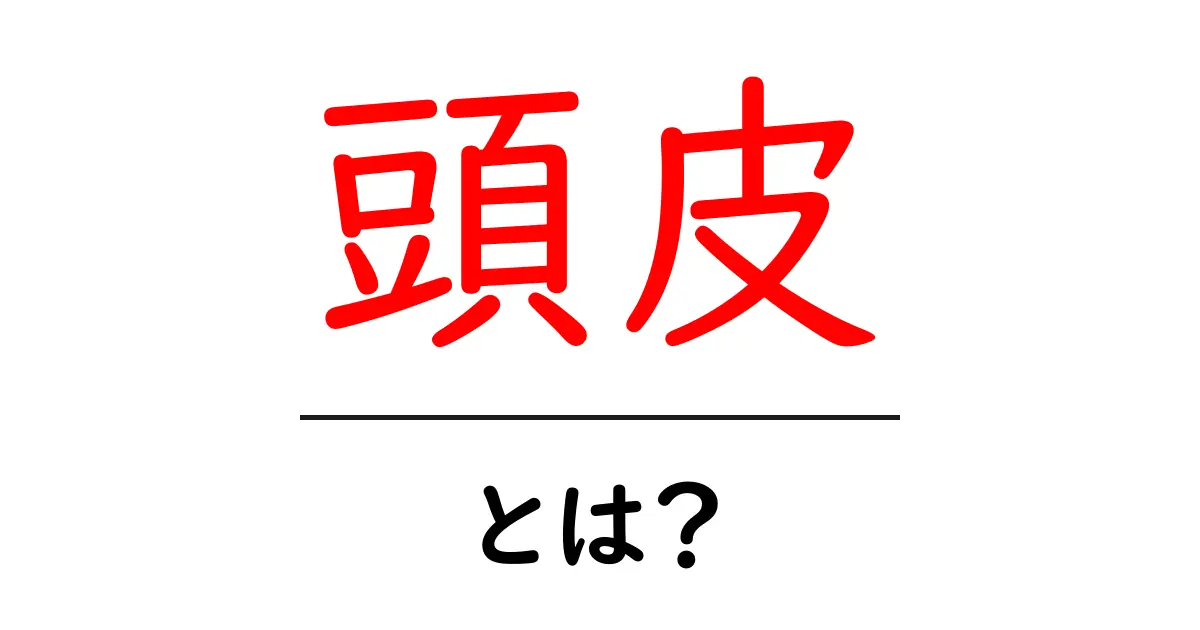 頭皮とは？健康な髪と美しい頭皮を保つためのポイント共起語・同意語も併せて解説！