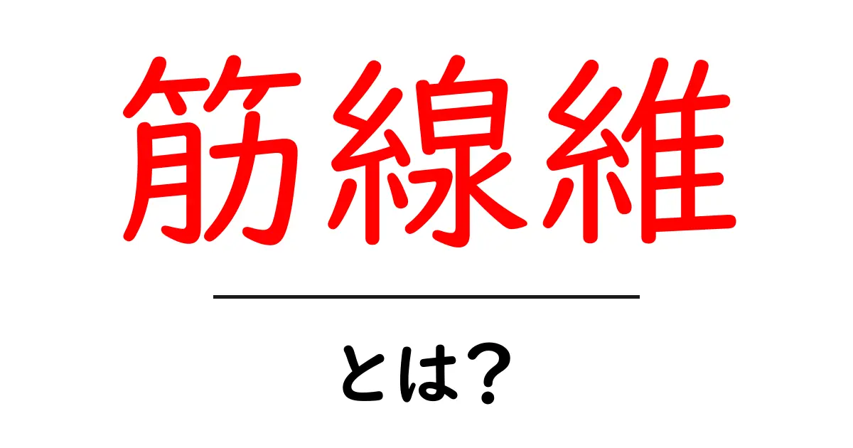 筋線維とは?私たちの体を支える大切な成分を知ろう!共起語・同意語も併せて解説!