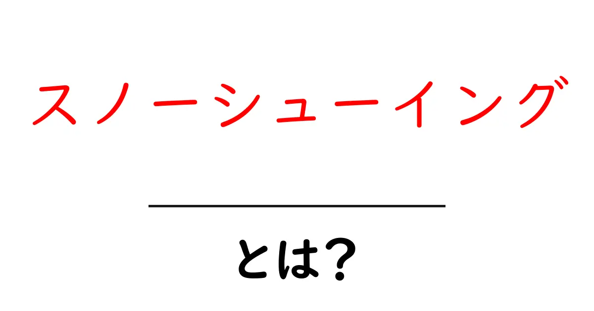 スノーシューイングとは?雪の中の新しい楽しみ方を知ろう!共起語・同意語も併せて解説!