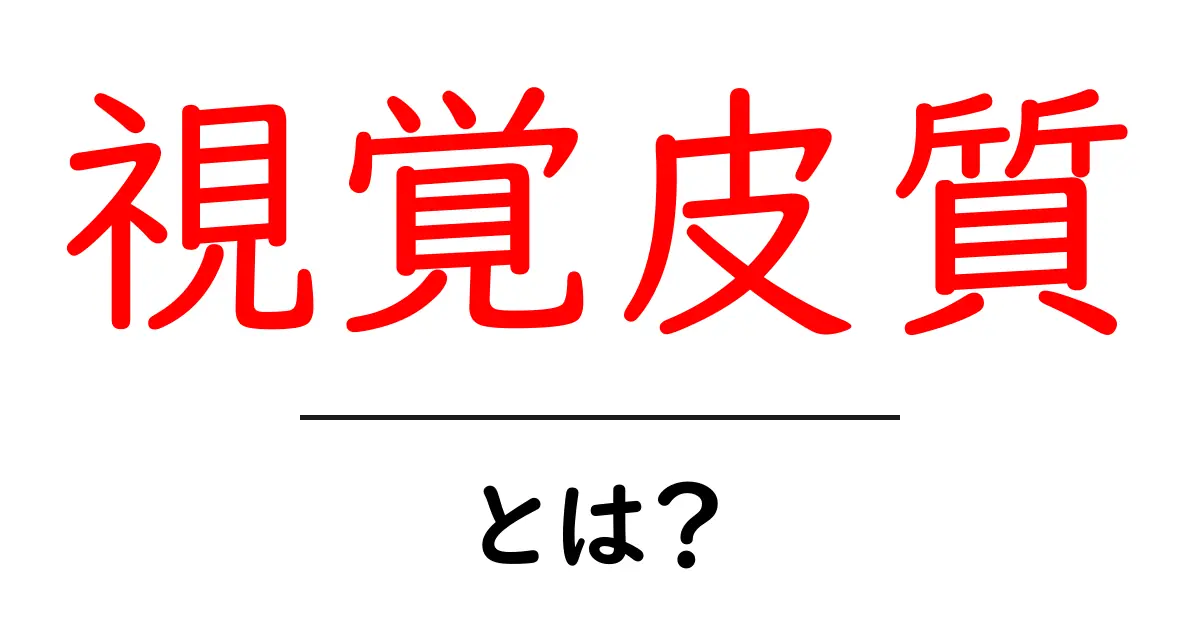 視覚皮質とは？私たちの目と脳をつなぐ重要な役割について知ろう！共起語・同意語も併せて解説！