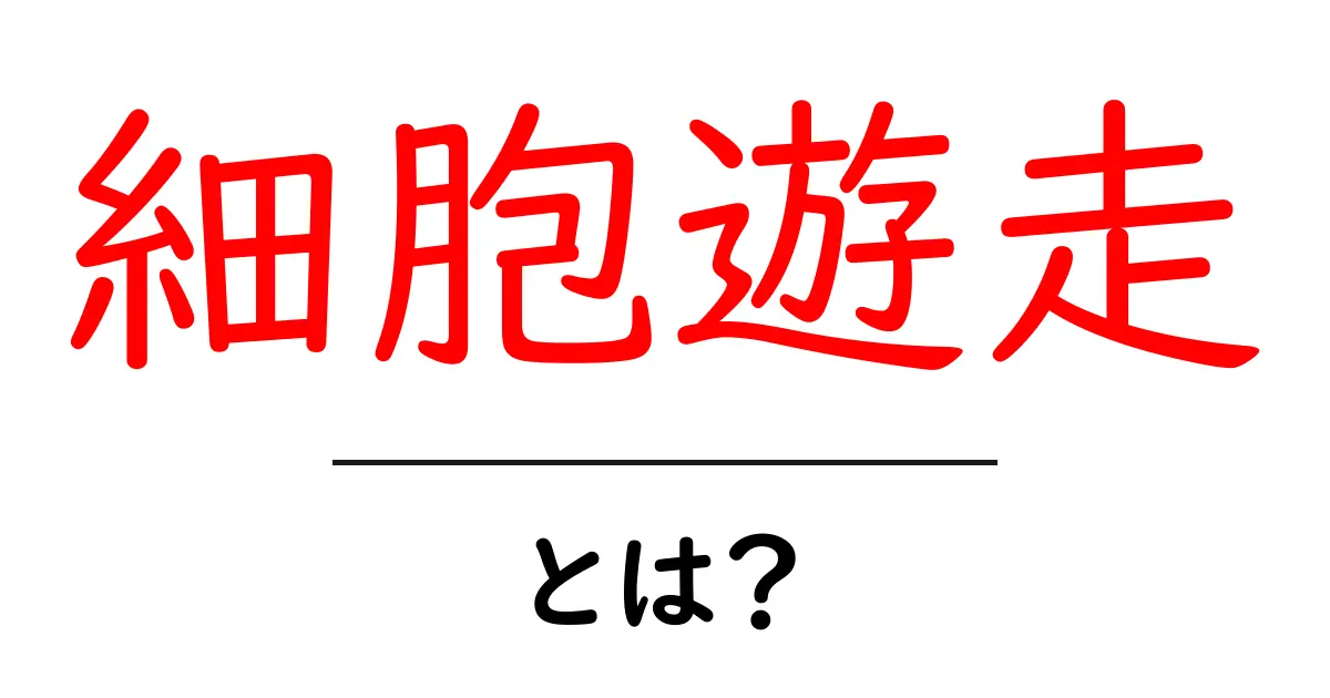 細胞遊走とは?その驚くべき働きと重要性を解説!共起語・同意語も併せて解説!