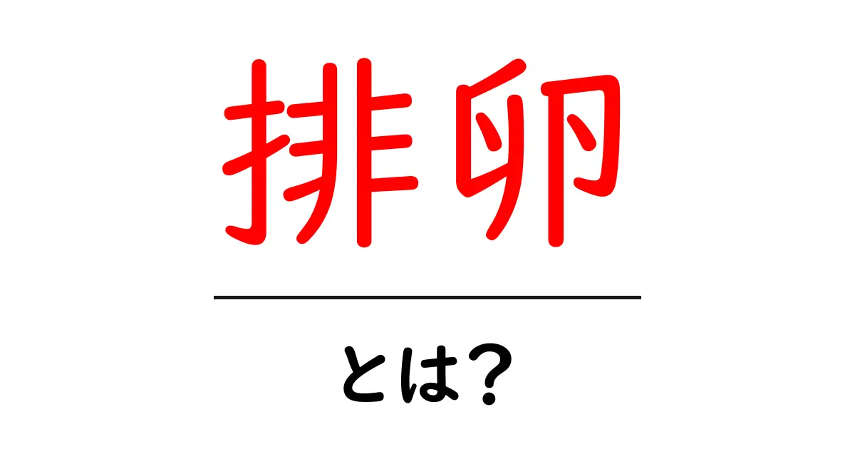 排卵とは?女性の体の大切なサイクルを知ろう!共起語・同意語も併せて解説!