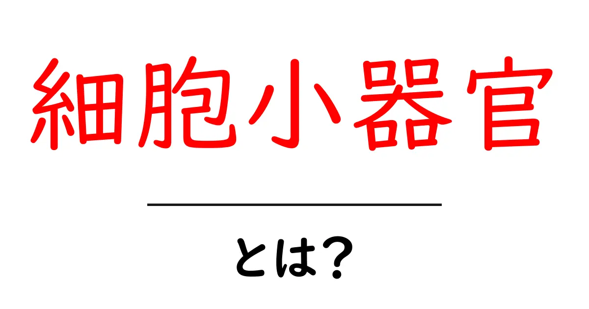 「細胞小器官」とは?私たちの体を支える小さな工場の秘密共起語・同意語も併せて解説!