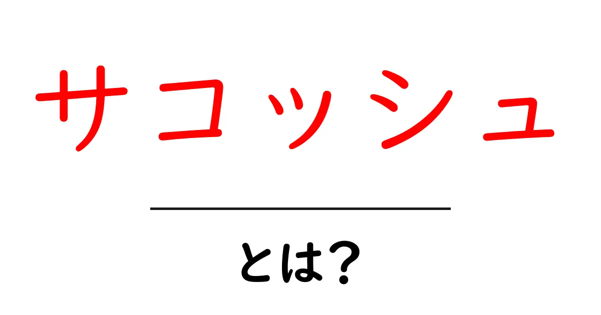 サコッシュとは?特徴や使い方をわかりやすく解説!共起語・同意語も併せて解説!