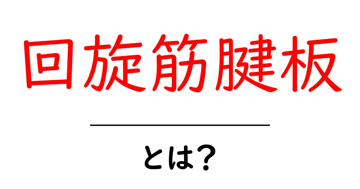 回旋筋腱板とは?肩の健康に欠かせない重要な筋肉群の全貌共起語・同意語も併せて解説!