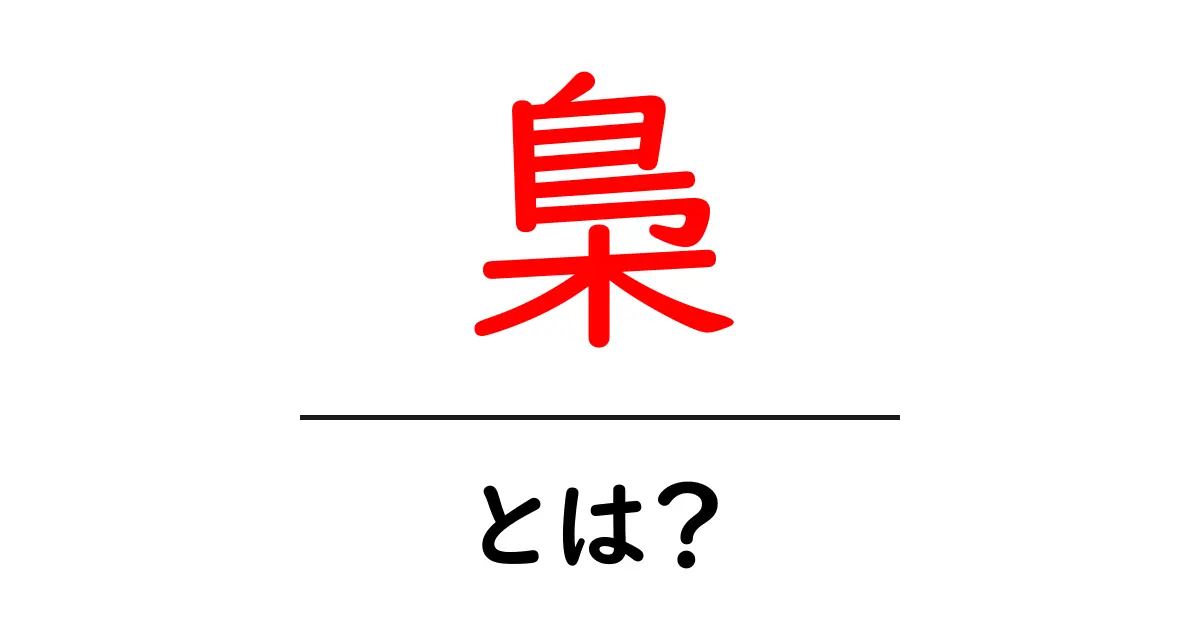 梟とは?神秘的な生態と文化的な意味を探る共起語・同意語も併せて解説!