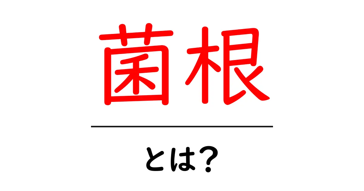 菌根とは?植物と菌の不思議な共生関係を探ろう!共起語・同意語も併せて解説!