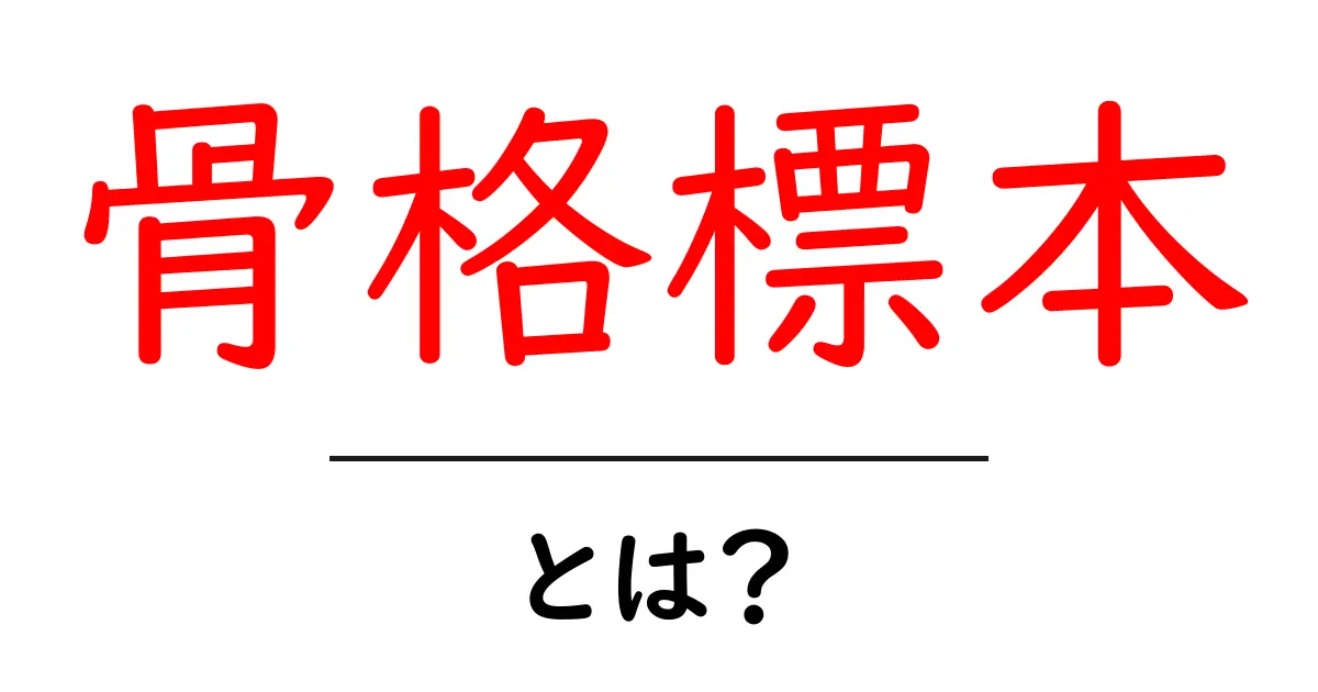骨格標本とは?その魅力と学びの世界を探る共起語・同意語も併せて解説!