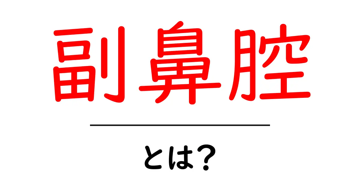 副鼻腔とは?その役割や症状、治療法を分かりやすく解説共起語・同意語も併せて解説!