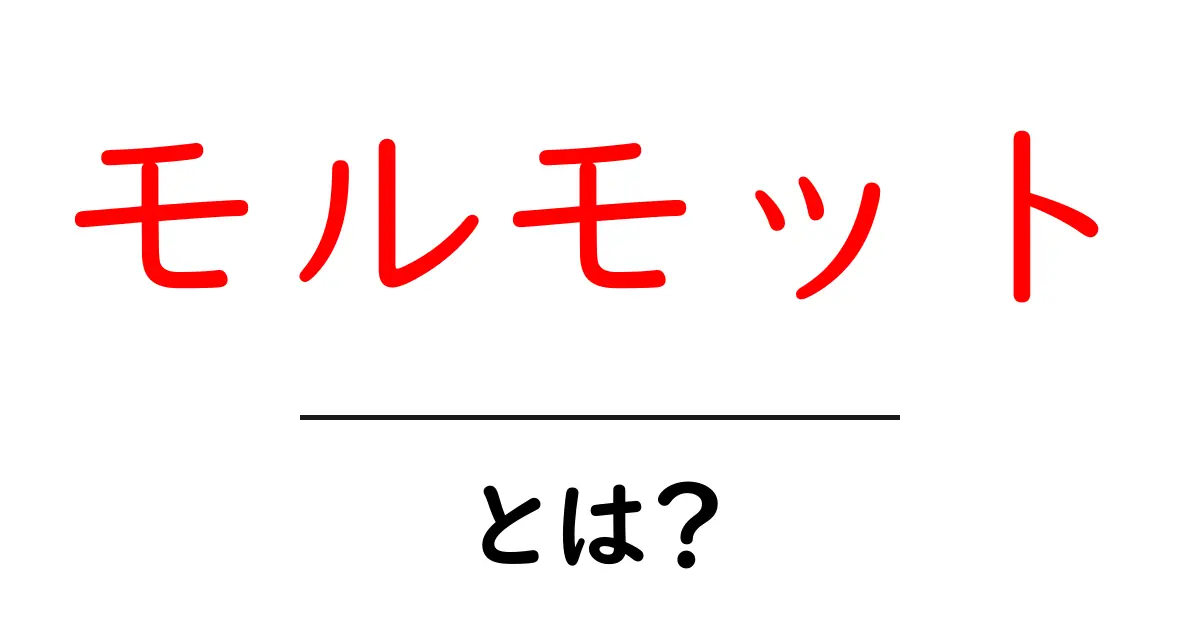 モルモットってどんな動物？初心者のための飼い方ガイド共起語・同意語も併せて解説！