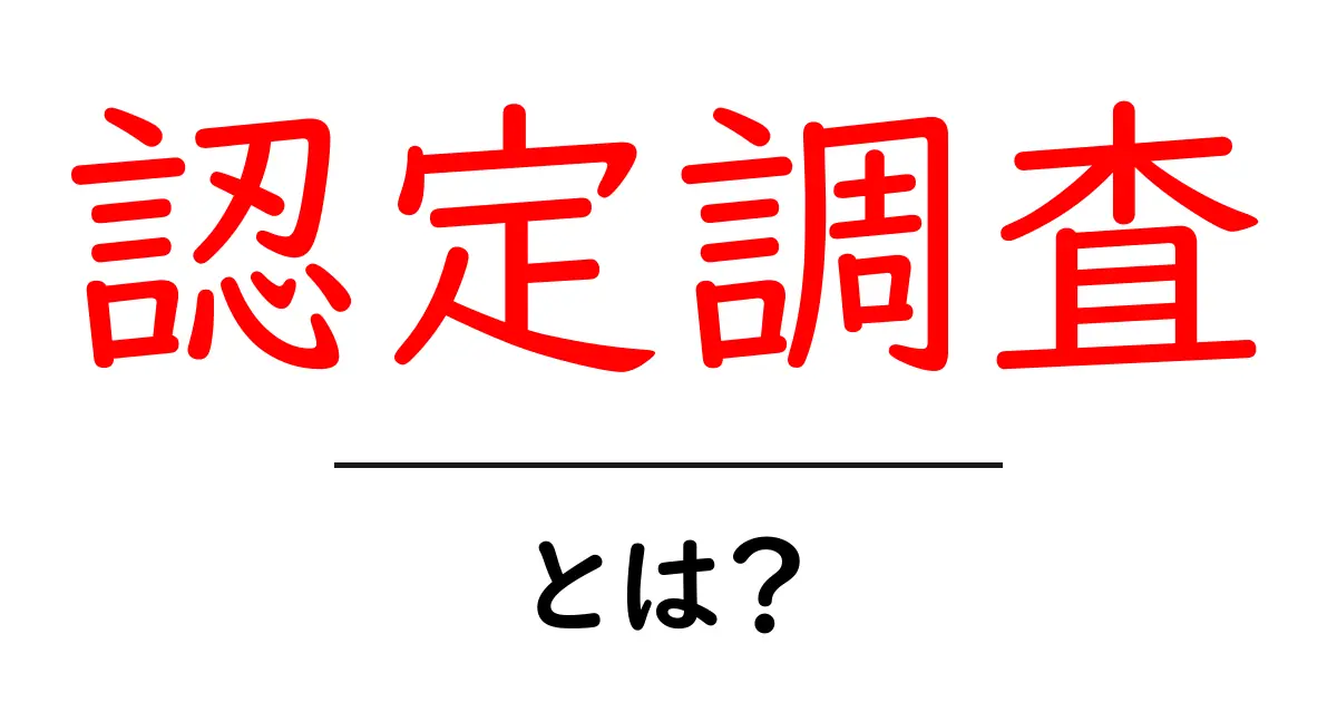 認定調査とは?その概要と重要性を解説!共起語・同意語も併せて解説!