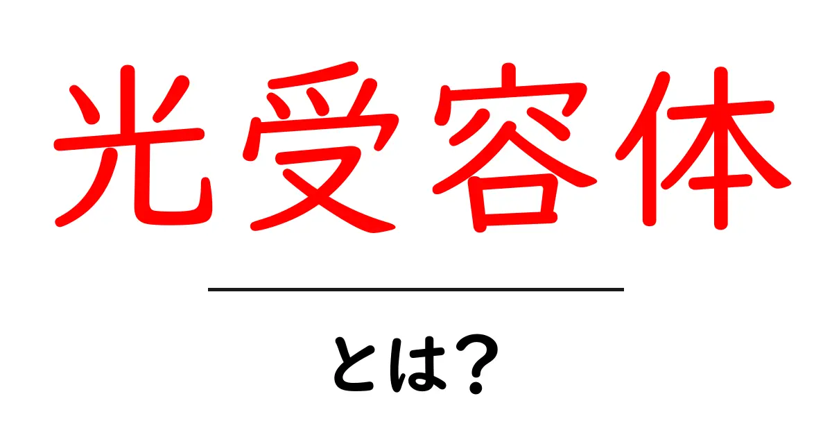 光受容体とは？私たちの体の光を感じる仕組みを解説！共起語・同意語も併せて解説！