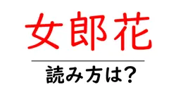 女郎花の読み方は？難読語の読みと意味を解説