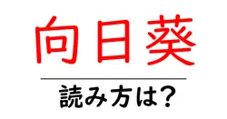 向日葵の読み方は？難読語の読みと意味を解説