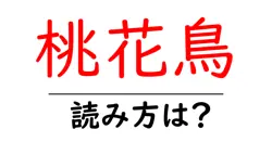 桃花鳥の読み方は？難読語の読みと意味を解説