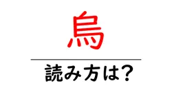 烏の読み方は？難読語の読みと意味を解説