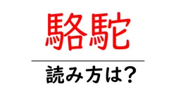 駱駝の読み方は？難読語の読みと意味を解説