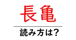 長亀の読み方は？難読語の読みと意味を解説
