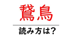 鵞鳥の読み方は？難読語の読みと意味を解説