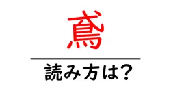 鳶の読み方は？難読語の読みと意味を解説