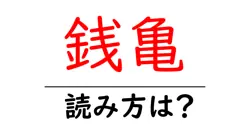 銭亀の読み方は？難読語の読みと意味を解説