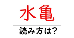 水亀の読み方は？難読語の読みと意味を解説