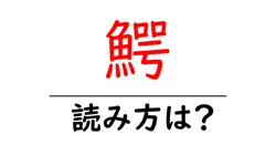 鰐の読み方は？難読語の読みと意味を解説