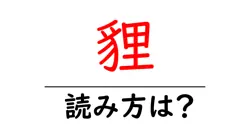 貍の読み方は？難読語の読みと意味を解説
