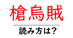 槍烏賊の読み方は？難読語の読みと意味を解説