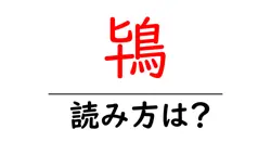 鴇の読み方は？難読語の読みと意味を解説