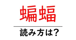 蝙蝠の読み方は？難読語の読みと意味を解説