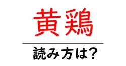 黄鶏の読み方は？難読語の読みと意味を解説