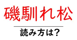 磯馴れ松の読み方は？難読語の読みと意味を解説