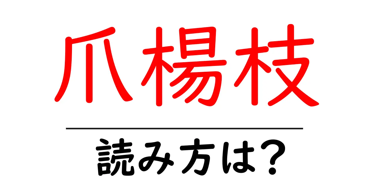 爪楊枝の読み方は?難読語の読みと意味を解説
