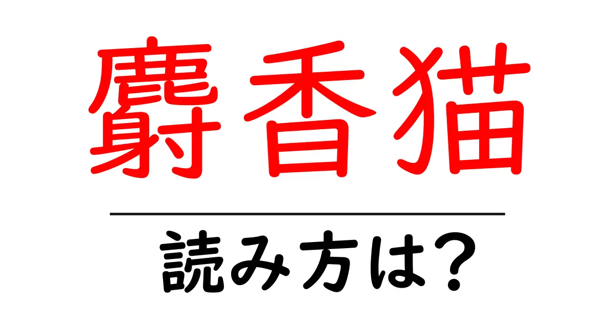 麝香猫の読み方は?難読語の読みと意味を解説