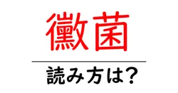 黴菌の読み方は？難読語の読みと意味を解説
