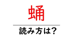 蛹の読み方は？難読語の読みと意味を解説