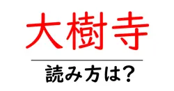 大樹寺の読み方は？神社・寺の読み方を解説